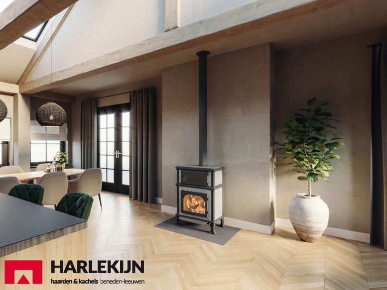 Altech Vision Cook Houtkachel